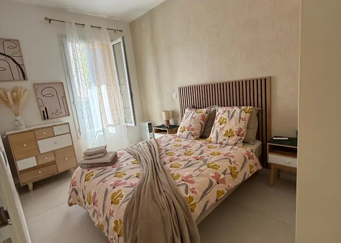 Zgondoiu Résidence Appartement Nice